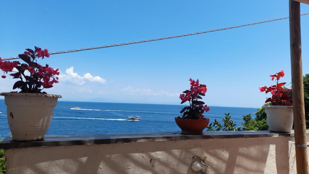 Villa Gianna Amalfi Coast Конка деи Марини Екстериор снимка